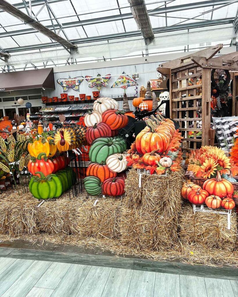 Pumpkin display with Halloween decorations greenhouse