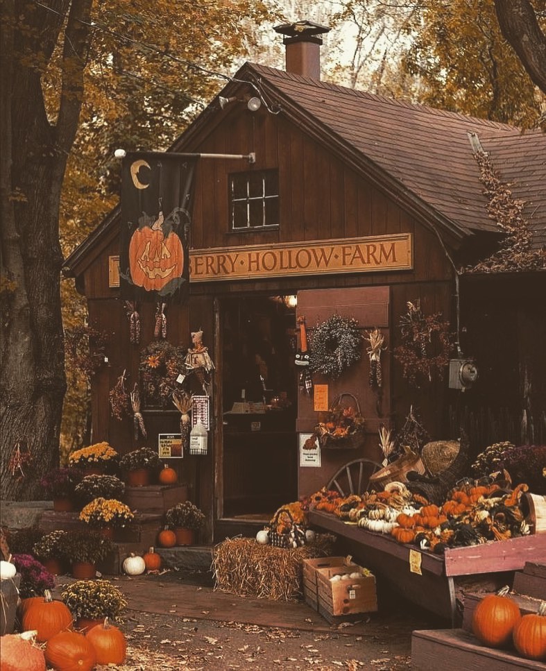 Rustic farm stand autumn pumpkins decorations