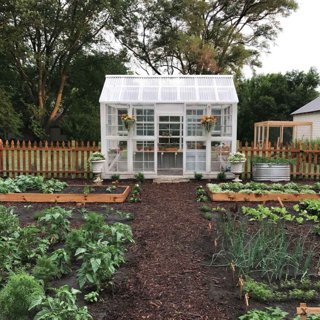 White greenhouse, raised vegetable beds, mulched paths