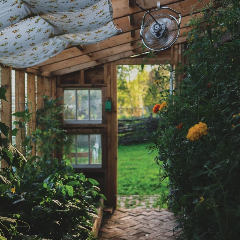 Wooden greenhouse, lush plants, homemade garden