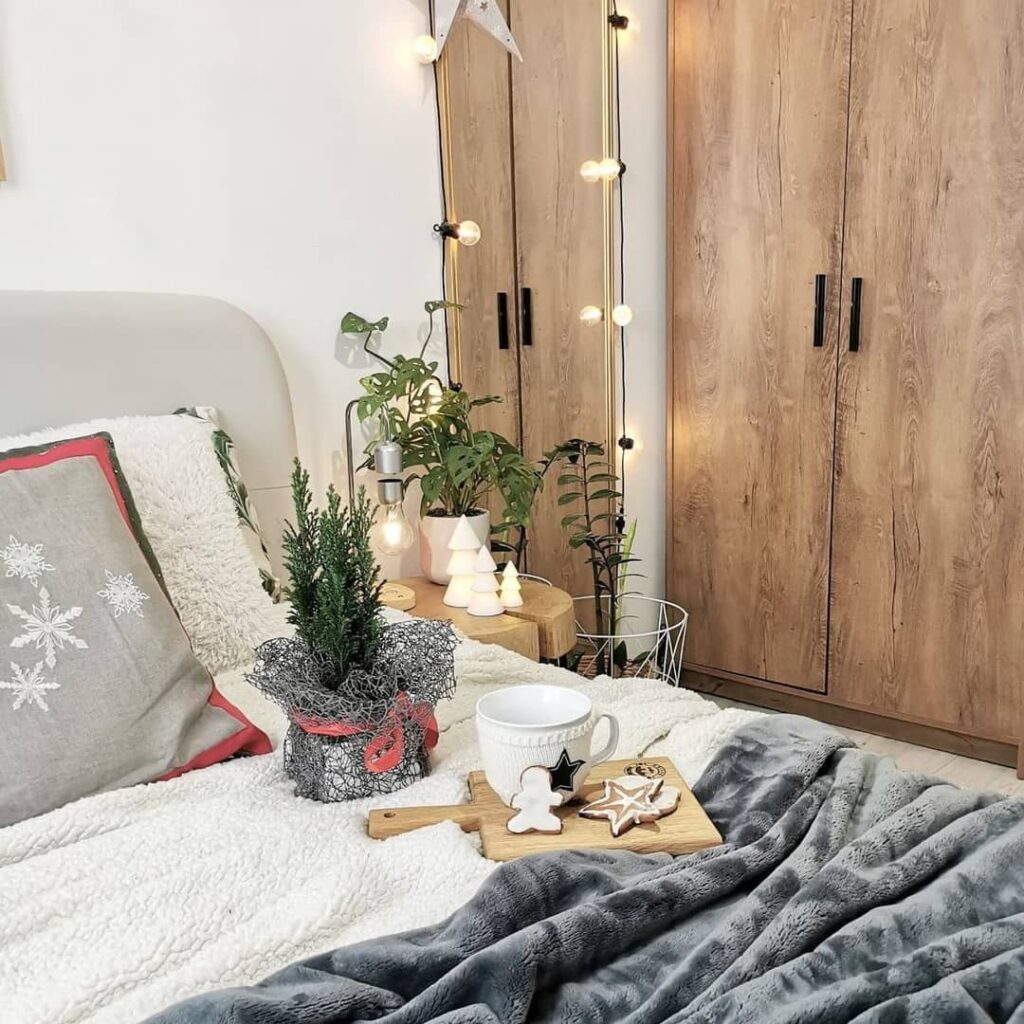 Bedroom corner with winter decor, plants, lights