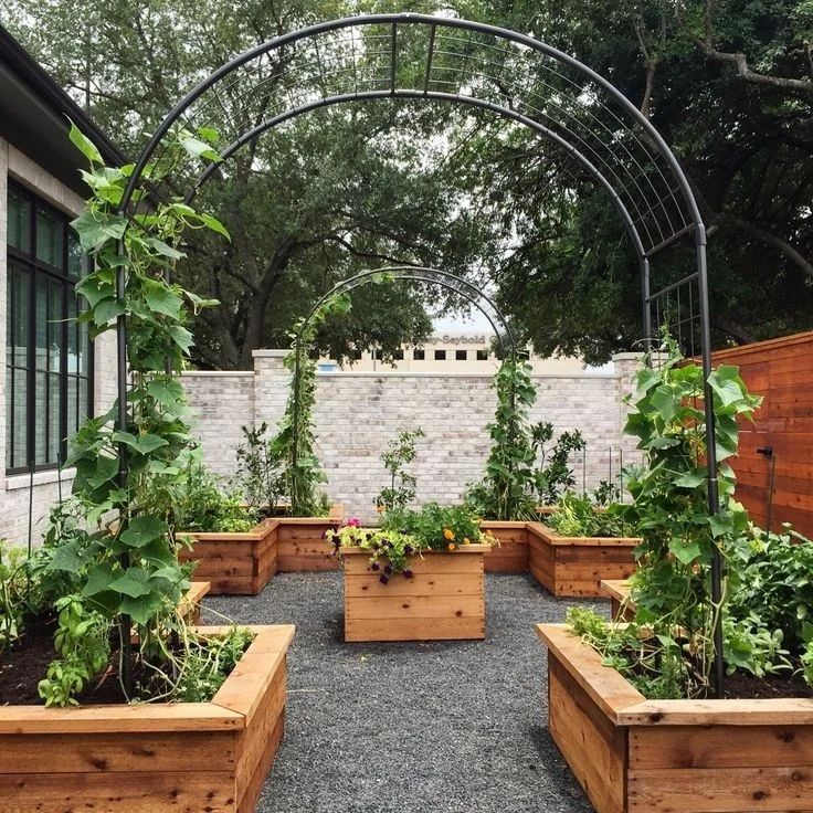 Arched trellis, raised beds, vegetable garden, gravel paths