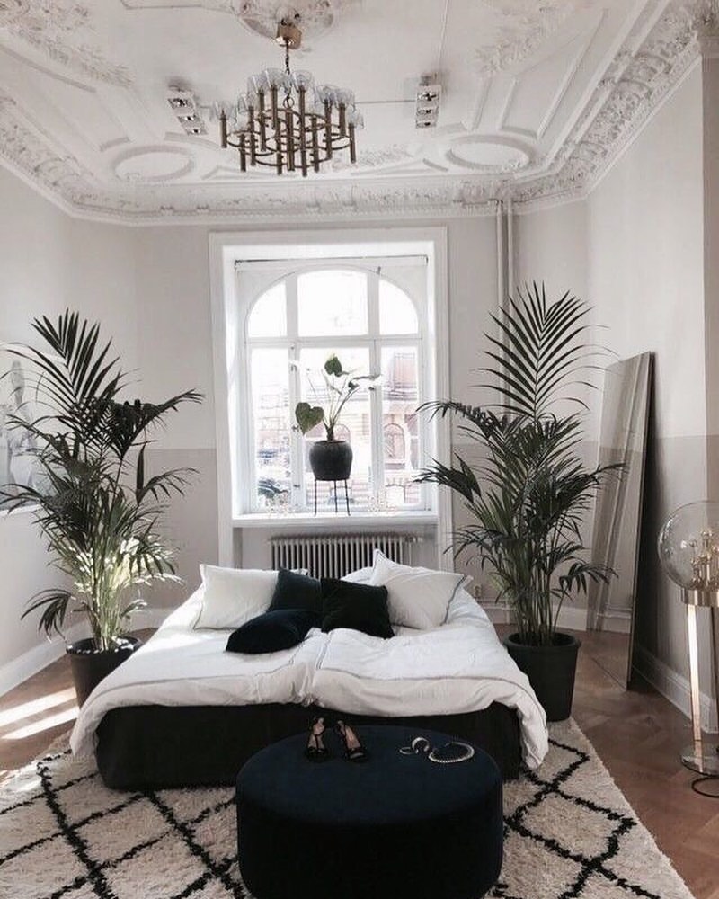 Parisian bedroom, ornate ceiling, palms, modern-classic mix