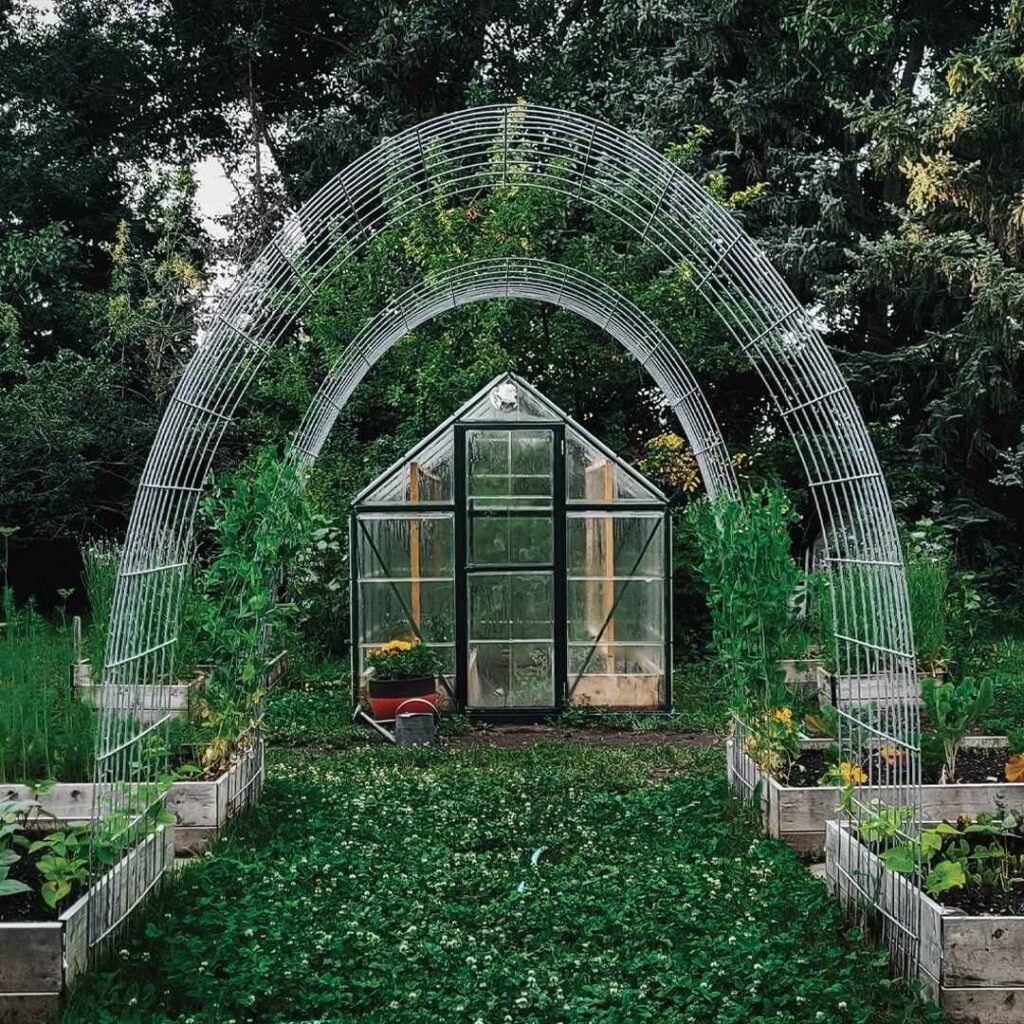 Greenhouse, arched trellis, raised beds, lush greenery