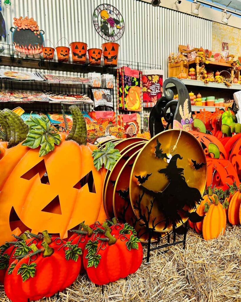 Diverse Halloween and autumn decorations in store display