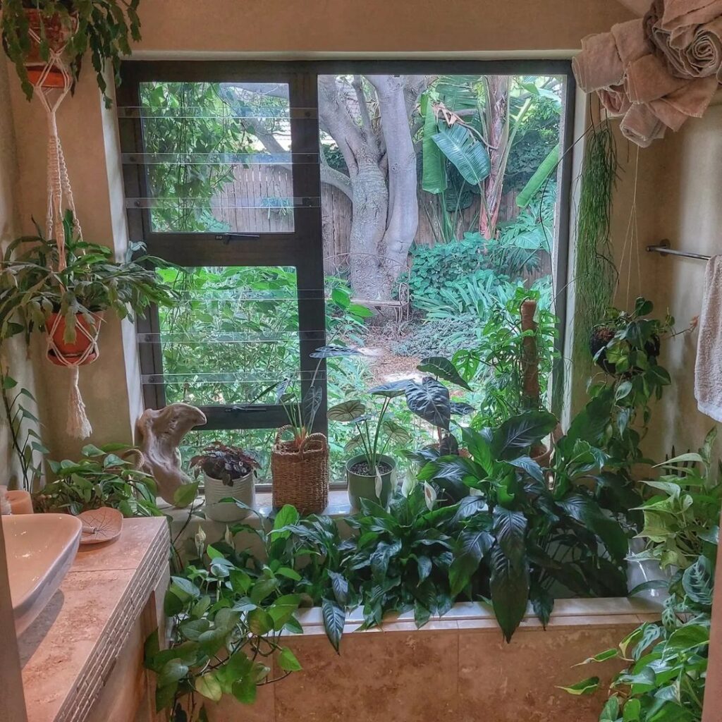 Indoor plants, window view, jungle-like atmosphere, plant-filled interior