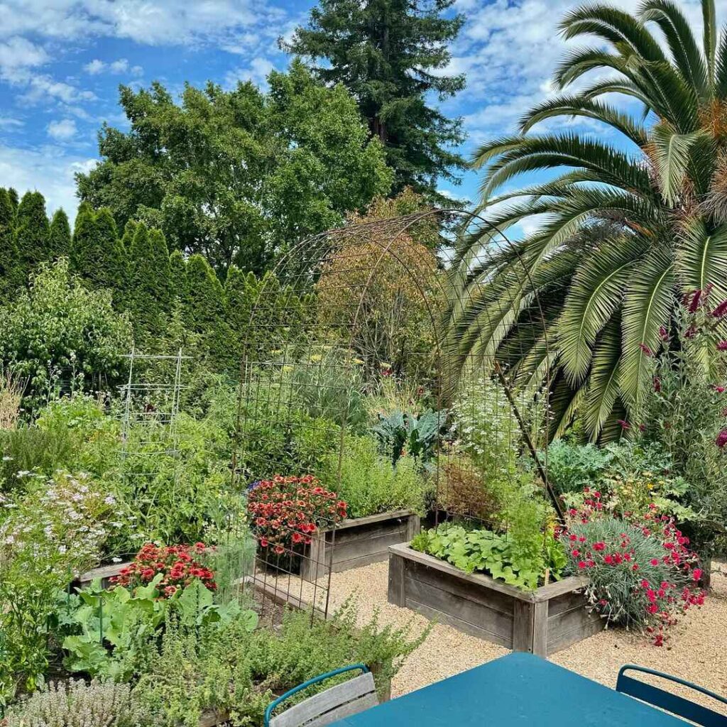 Raised garden beds, palm tree, colorful flowers, diverse plants