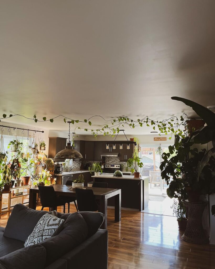 Plant-filled open-plan living and kitchen area