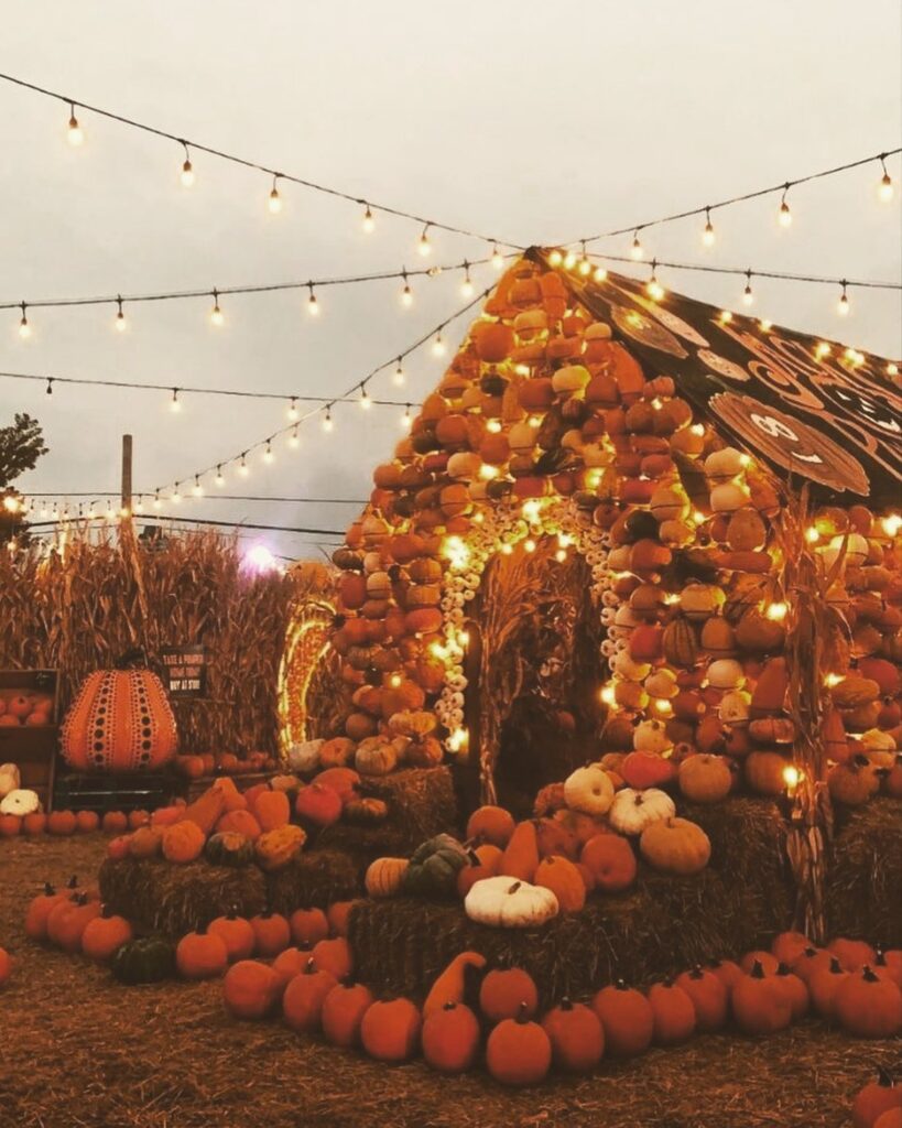 Illuminated pumpkin house, string lights, harvest display