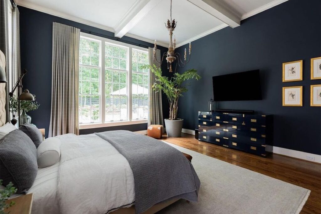 Dark blue bedroom, white ceiling, plants