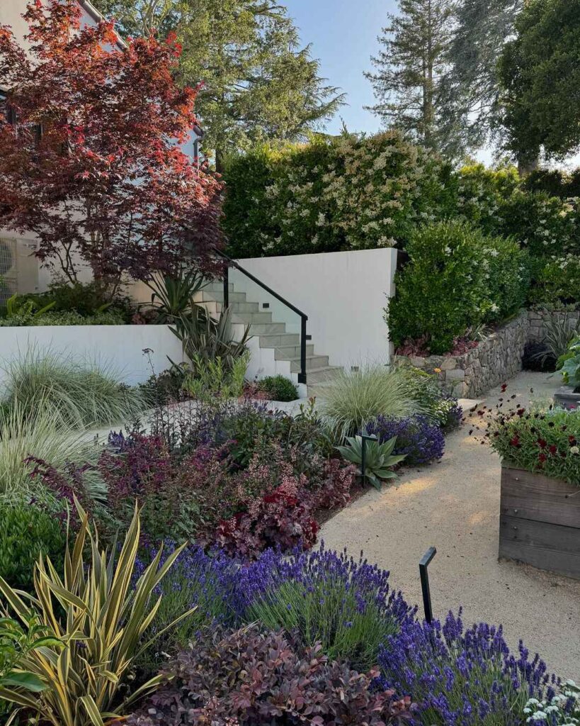 Terraced garden with colorful drought-resistant plants