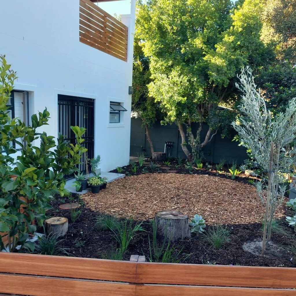 Xeriscaped courtyard, drought-resistant plants, mulched area