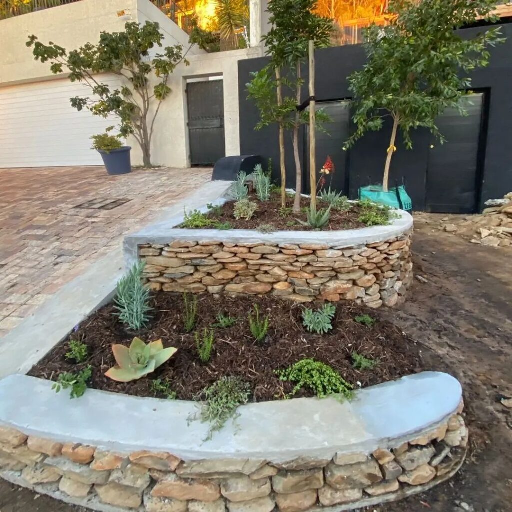 Stone-edged succulent bed, xeriscaping, modern garden