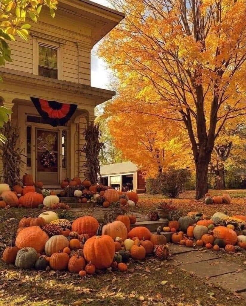 Pumpkin-filled yard, autumn foliage, decorated porch