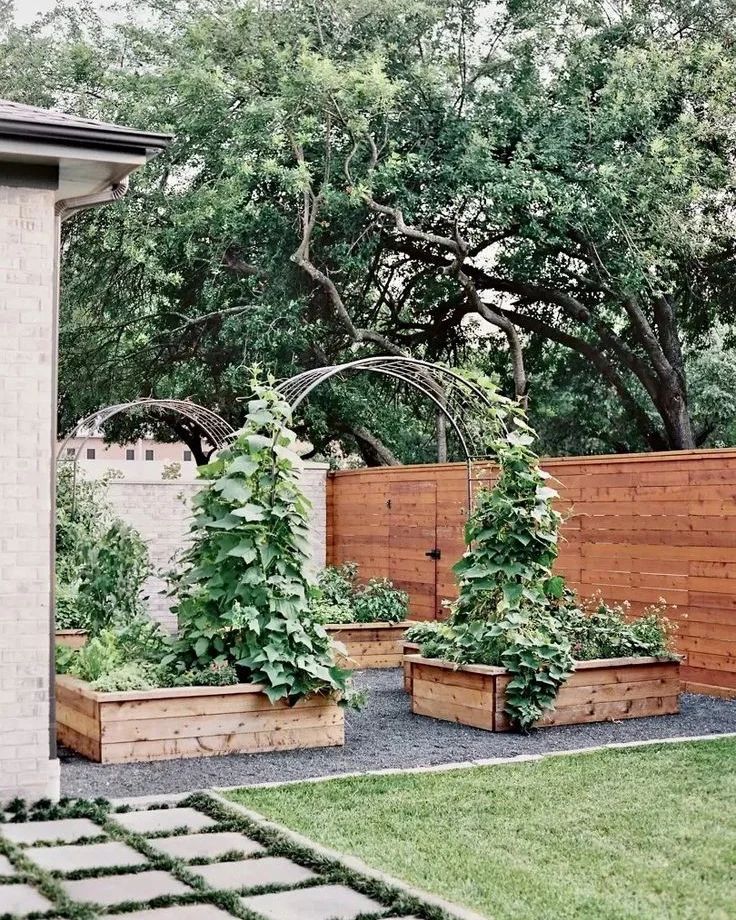 Wooden raised beds with climbing arches