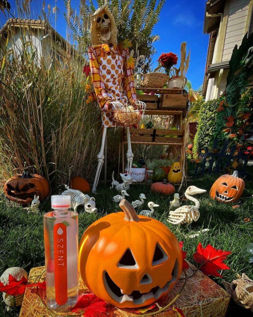 Skeleton scarecrow with pumpkins and decorations