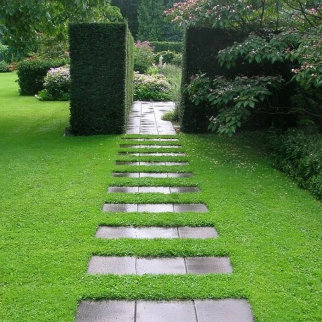 Stone path, manicured lawn, hedge archway