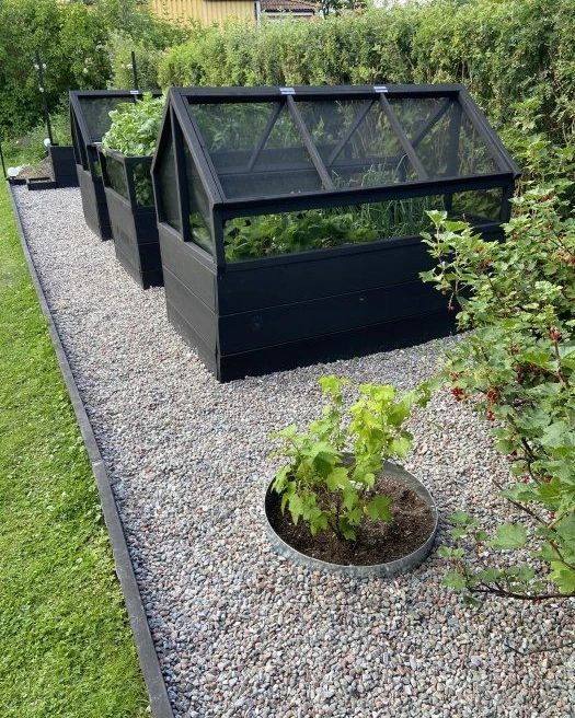 Raised beds, glass tops, gravel path, backyard garden