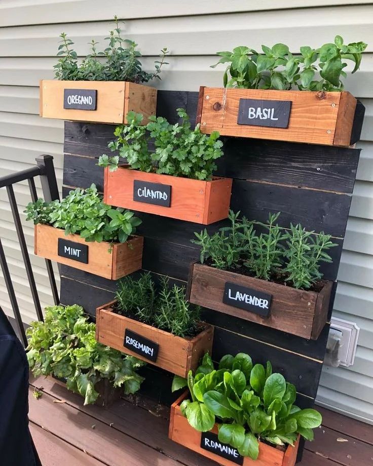 Vertical herb garden, labeled boxes, balcony garden