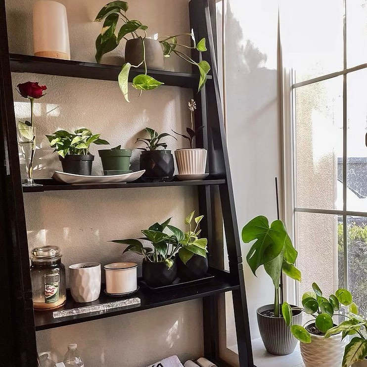 Ladder shelf, potted plants, window corner, indoor garden