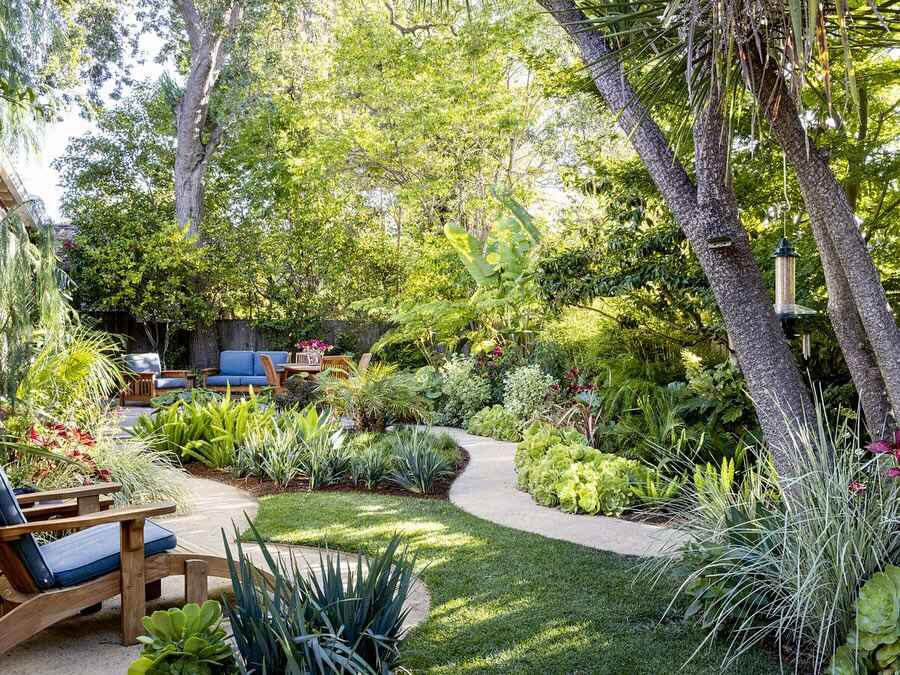 Lush garden path with tropical plants