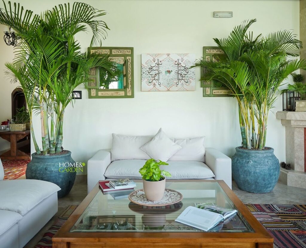 Palm trees framing sofa, tropical decor