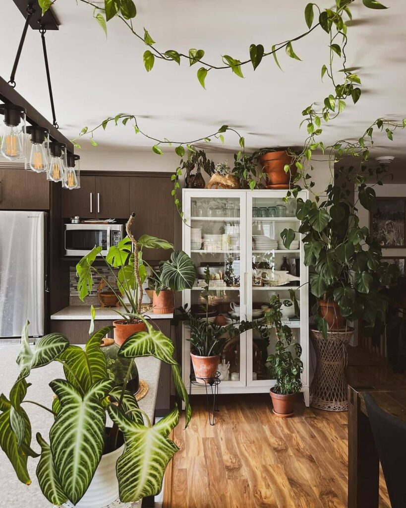 Plant-filled kitchen with tropical foliage everywhere