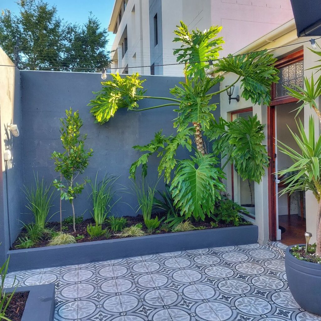 Urban courtyard, tropical plants, patterned tiles, modern design