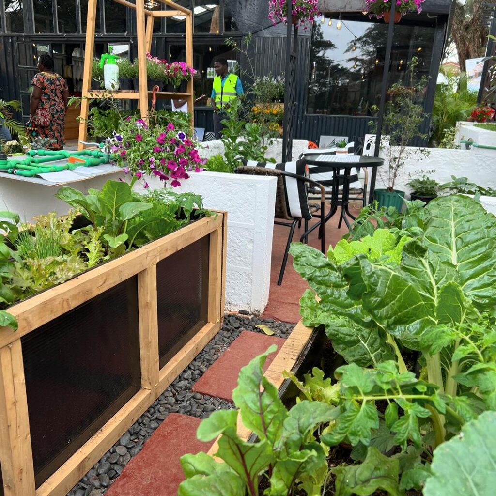 Urban garden with raised beds and flowers