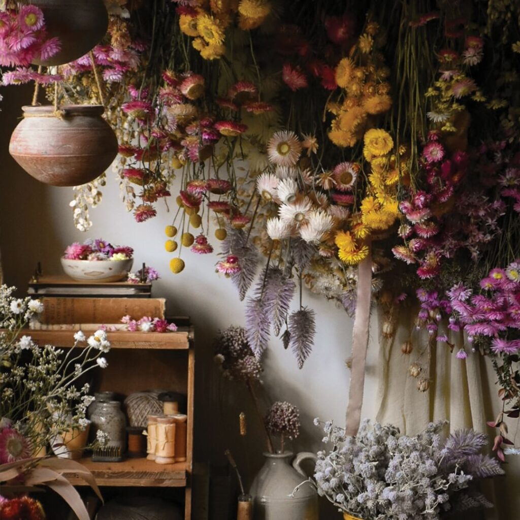 Dried flower display, hanging blooms, rustic shelf