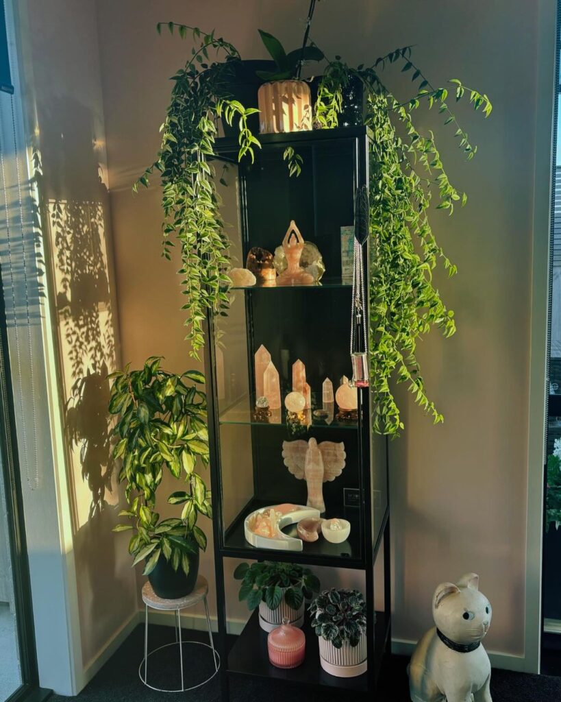 Plant-draped shelf, crystals, spiritual decor, indoor garden