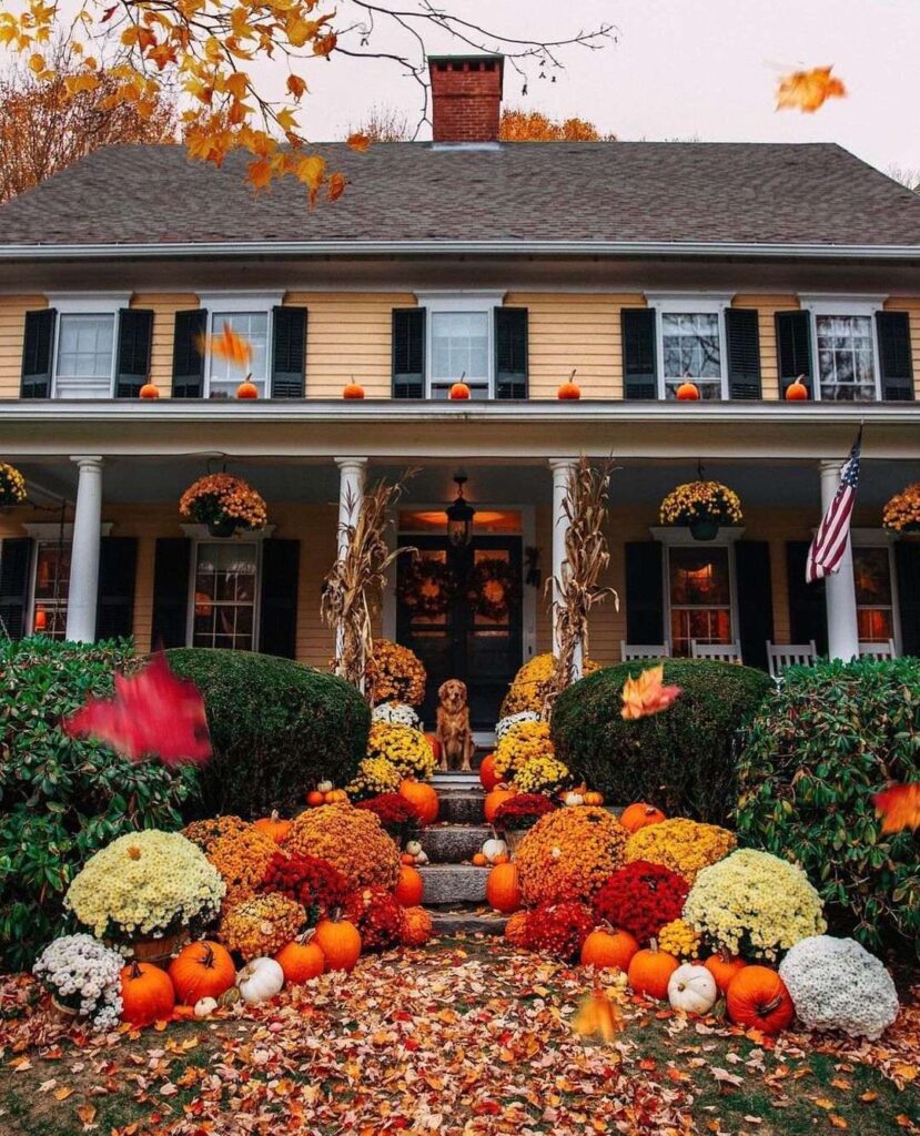 Porch decorated with pumpkins mums and golden retriever