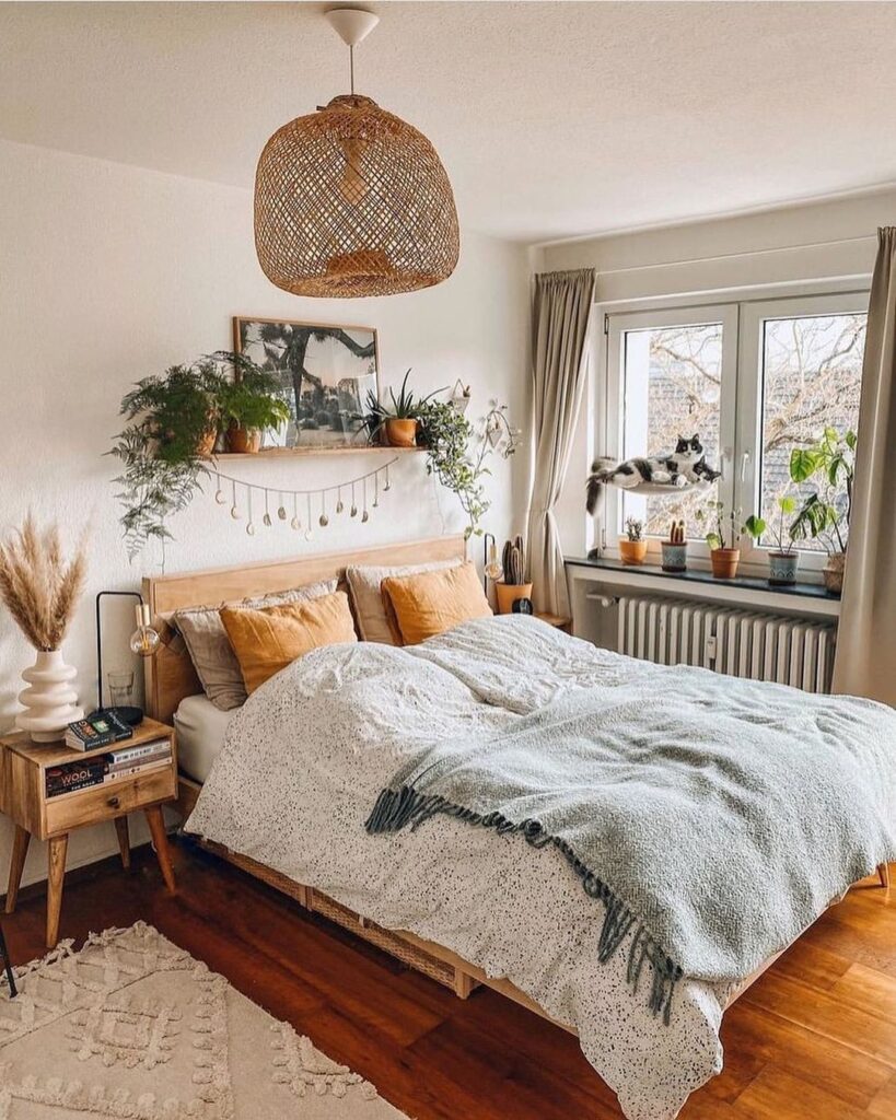 Cozy bedroom with plants rattan light and cat