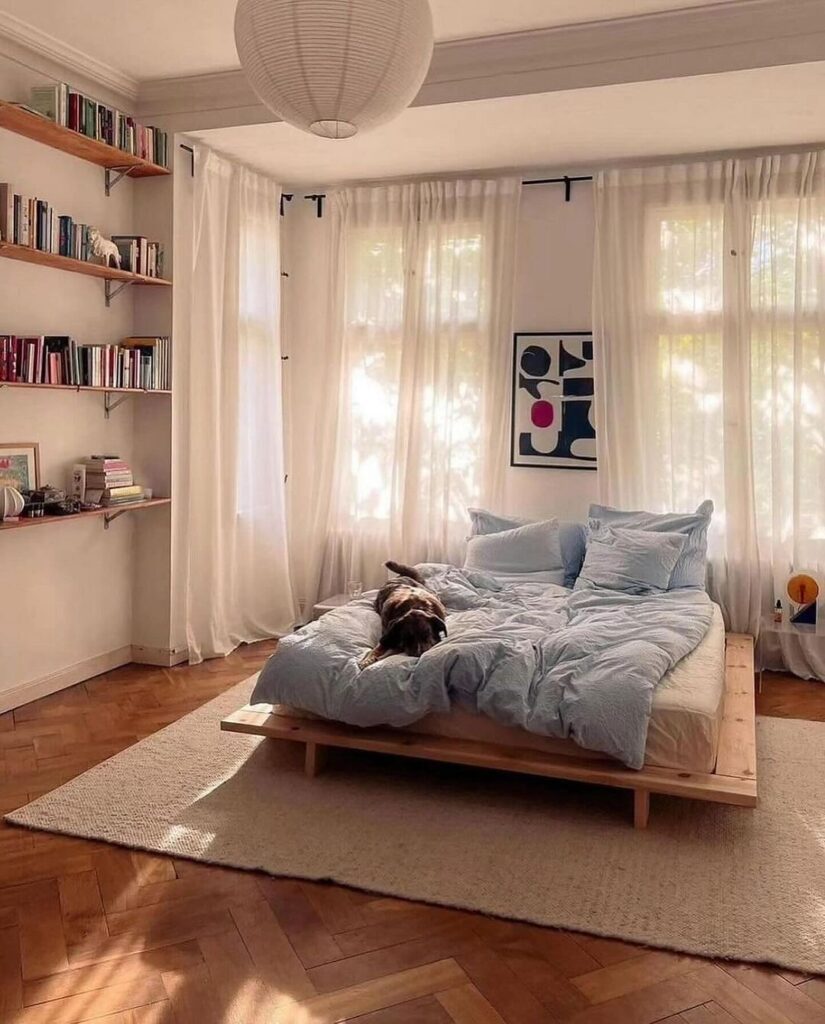 Sunny bedroom with bookshelves, platform bed, and lounging dog.