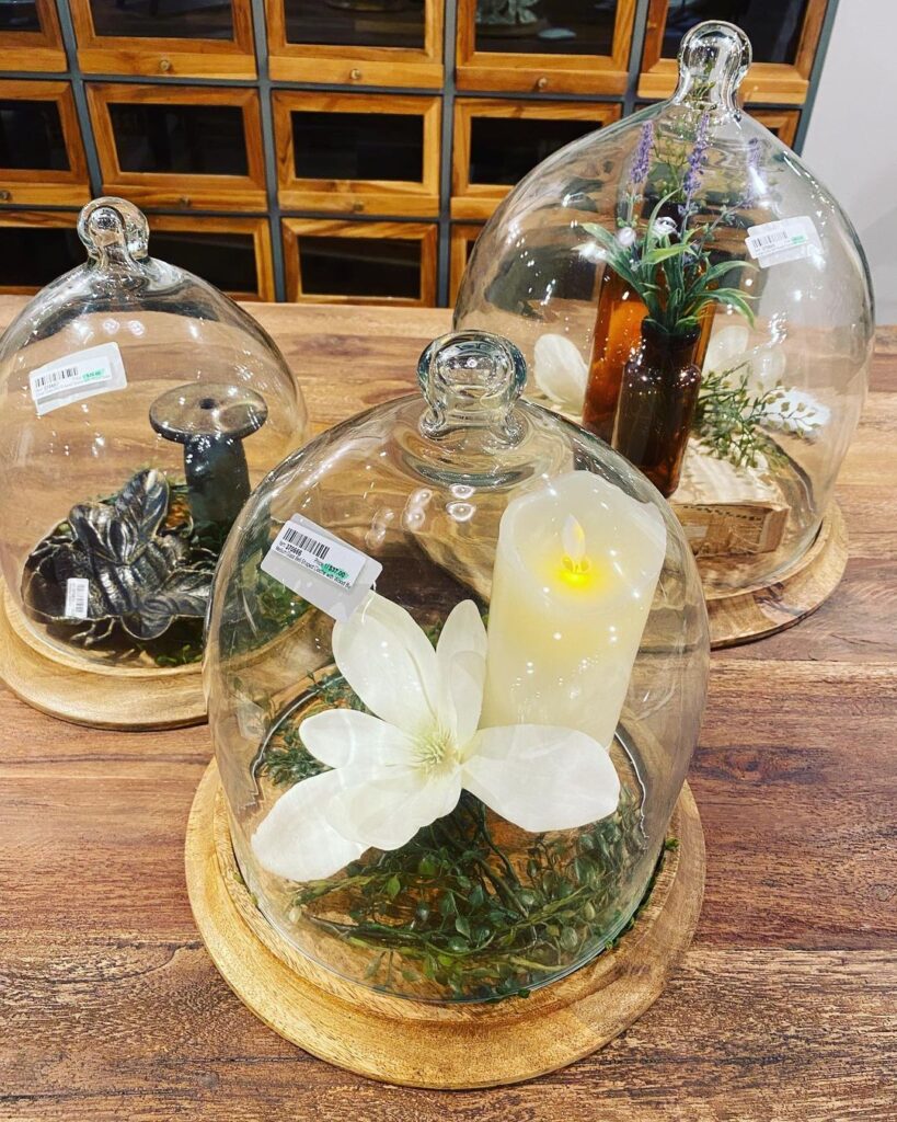 Glass cloches with miniature plant displays on wooden bases.