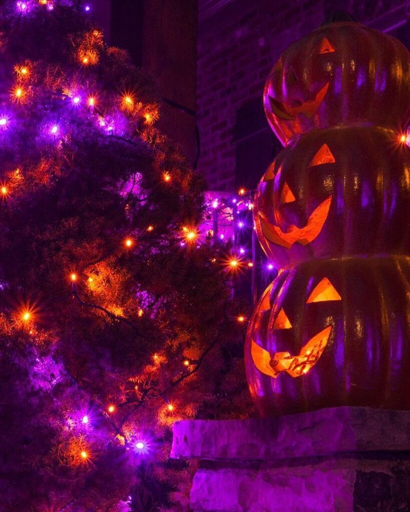 Glowing pumpkins beside purple-lit tree