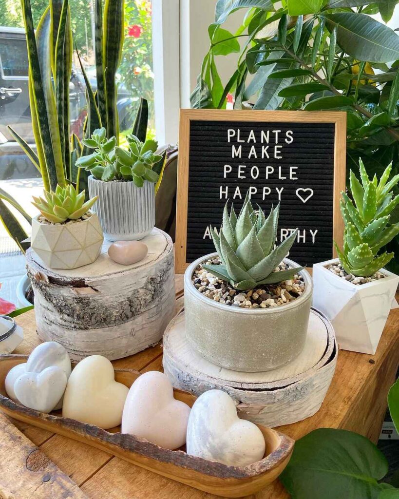 Succulents letter board and heart stones on wooden tray