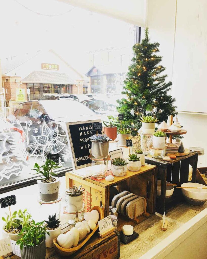 Windowsill plant display with succulents and Christmas tree.