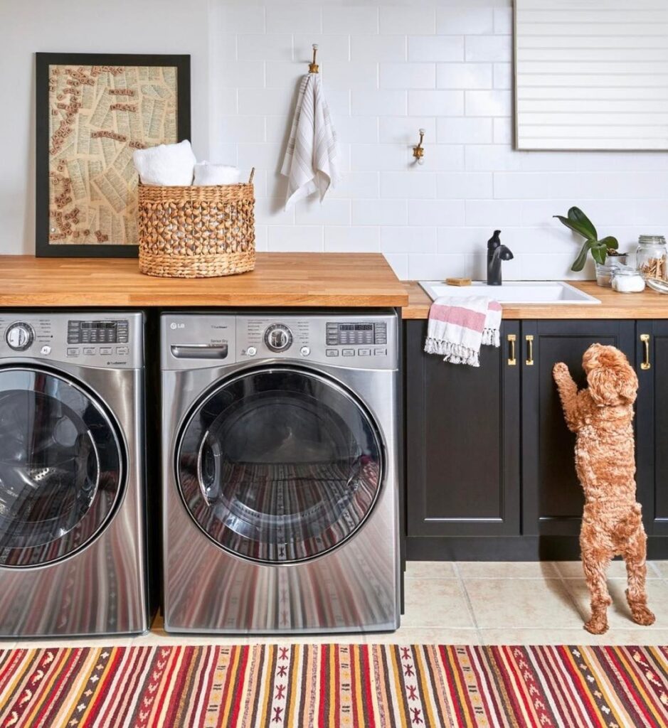 Laundry room with dog reaching up to counter