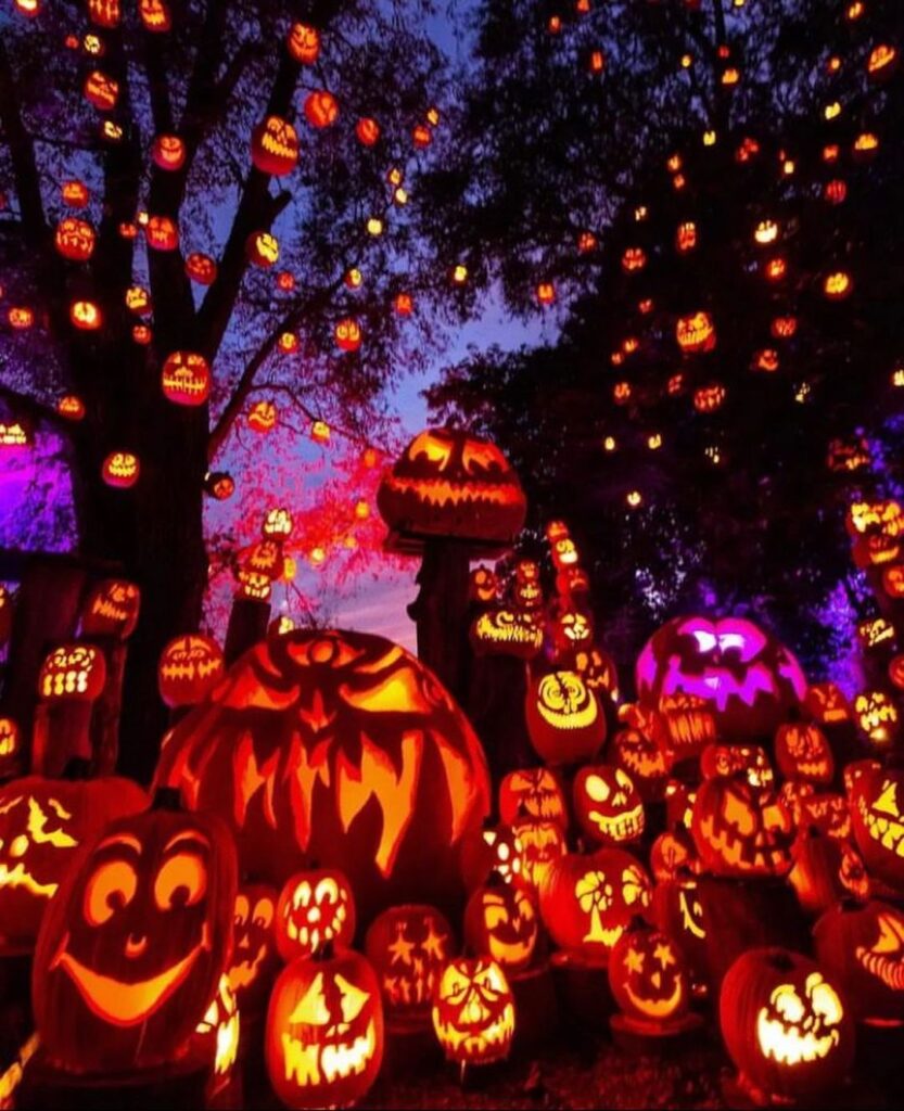 Glowing jack-o'-lanterns covering ground and trees