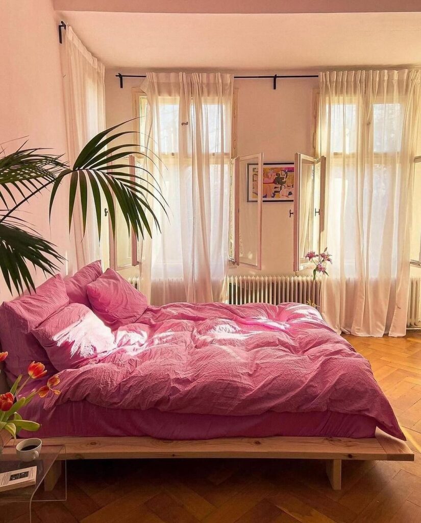 Bright bedroom with pink bed, white curtains, and palm plant bathed in sunlight.