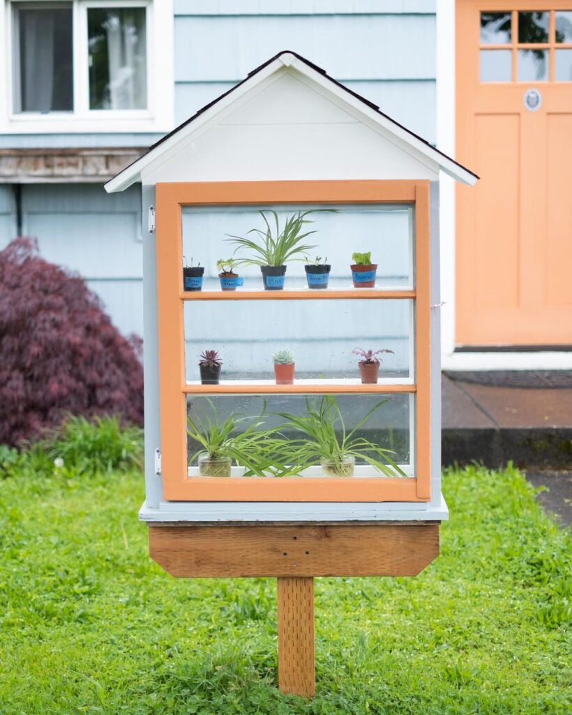 Miniature greenhouse displayi ng potted plants curbside.