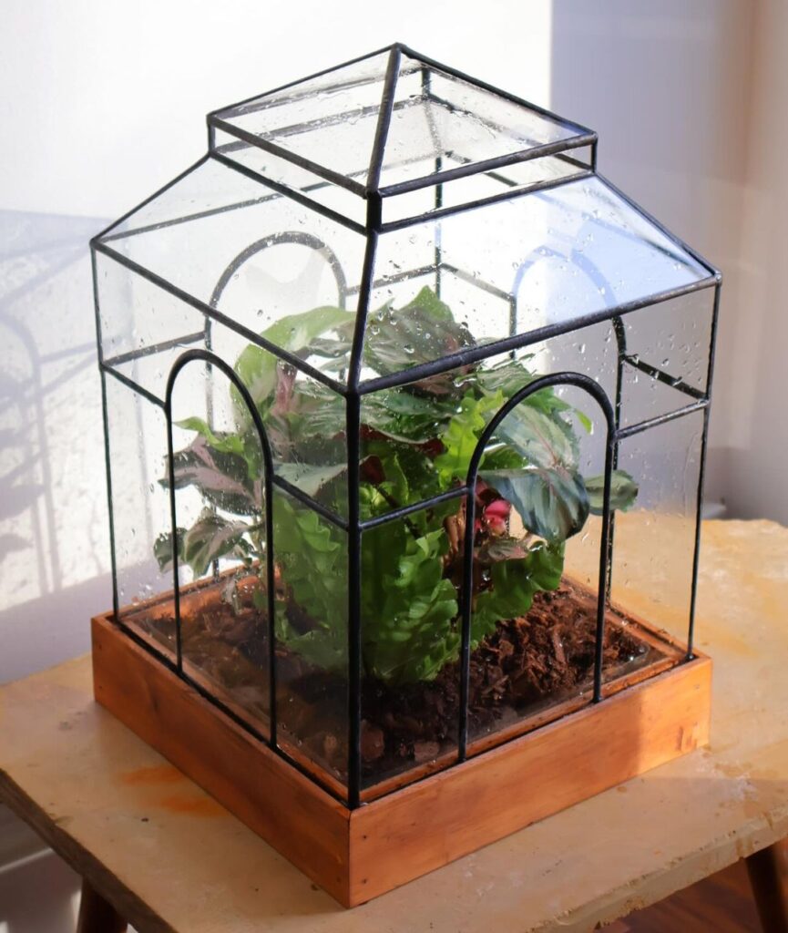 Small house-shaped glass terrarium containing green plants.