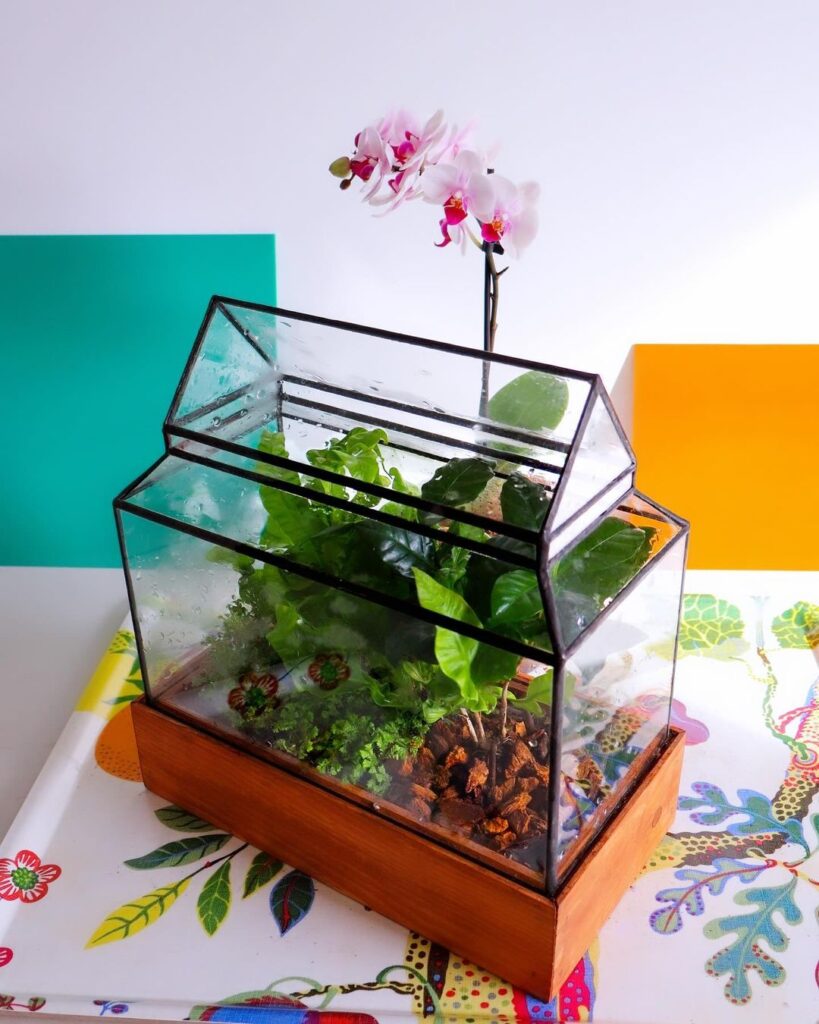 House-shaped terrarium with orchid and greenery