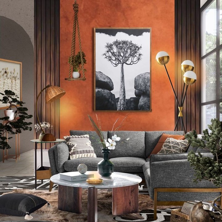 Cozy living room with orange walls and nature-inspired decor