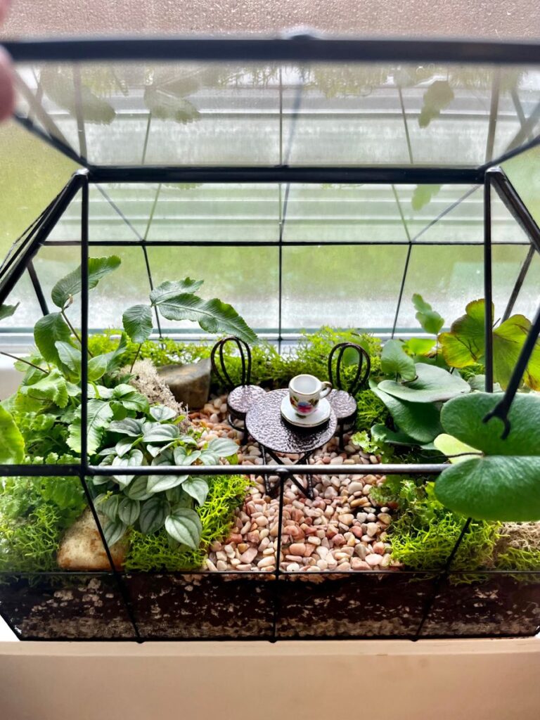 Miniature greenhouse with fairy garden and tiny tea set