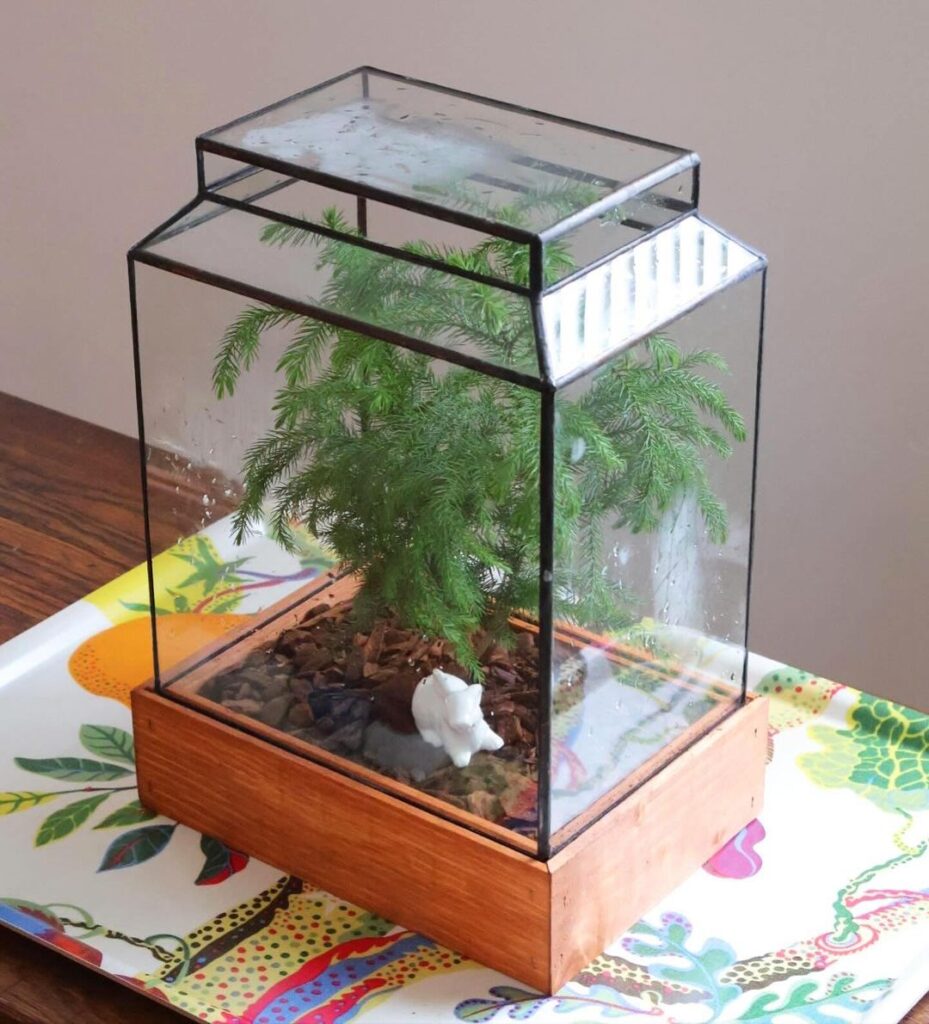 Glass terrarium with fern on colorful tablecloth