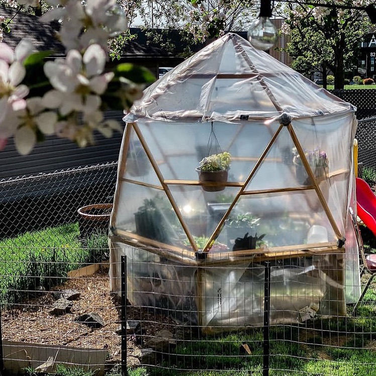 Transparent geodesic dome greenhouse in blooming garden.