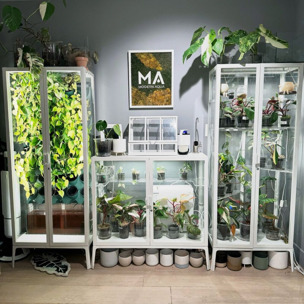 Three glass cabinets filled with plants create indoor garden.