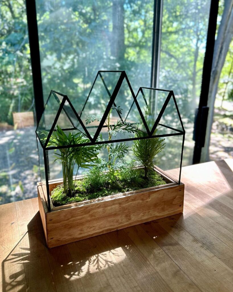 Glass terrarium shaped like mountain peaks with plants